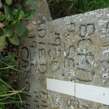 CAROLUS Sanna Anna 1950-1952 :: CAROLUS Adam Gideon 1953-1953_3