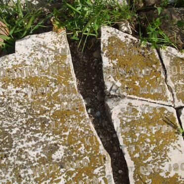 MORISON Daniel MacDonald -1908