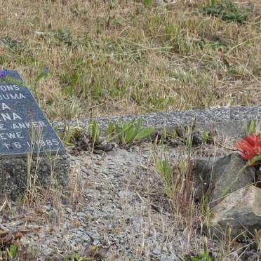 DREYER Matthuis Hermanus 1894-1983 &amp; Christina Magdalena 1908-1985