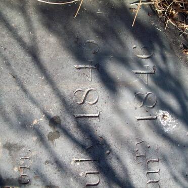 BEYERS Jacob de Leeuw 1845-1846_1