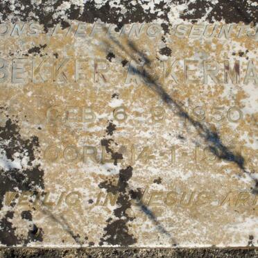 ACKERMANN Becker 1950-1951