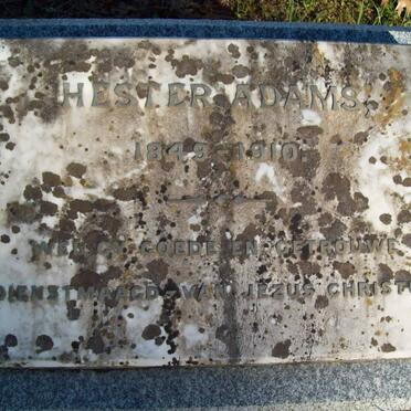 ADAMS Hester 1849-1910