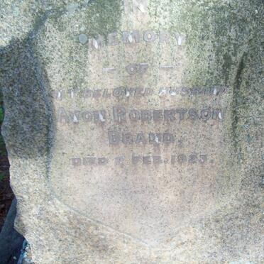 BRAND Avon Robertson -1923