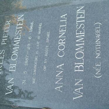 Bl - surnames starting with the letters Bl