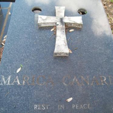 CANARIS Marica