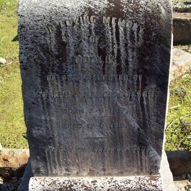 C - Surnames :: Vanne - C