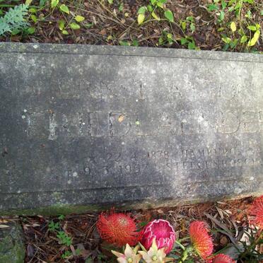 FRIEDLANDER  Ernst Anton 1878-1957