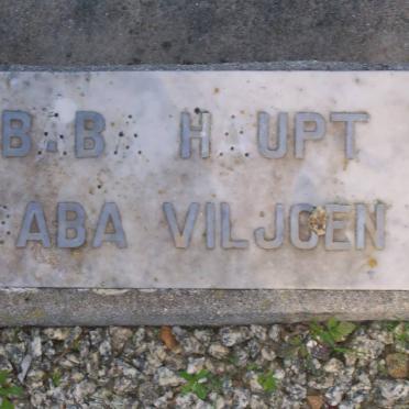 HAUPT baby :: VILJOEN baby