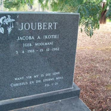 JOUBERT Jacoba A. gebore MOOLMAN 1918-1982