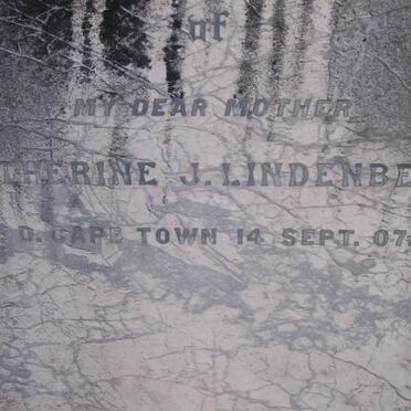 LINDENBERG Catherine J. -1907