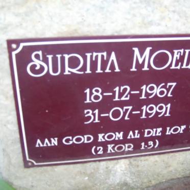 MOELICH Surita 1967-1991