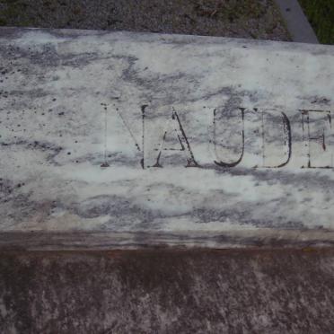 NAUDE Willem Jacobus