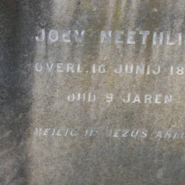 NEETHLING Joey -1884