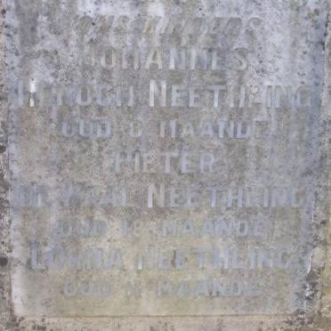 NEETHLING Johannes Henoch :: NEETHLING Pieter de Waal :: NEETHLING Lorna