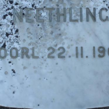 NEETHLING -1966