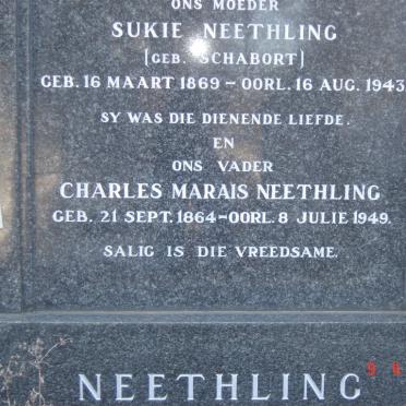 NEETHLING Charles Marais 1864-1949 &amp; Sukie SCHABORT 1869-1943