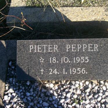 PEPPER Pieter 1955-1956