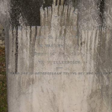 RHYN Janetta Sophia, van 1882-1889