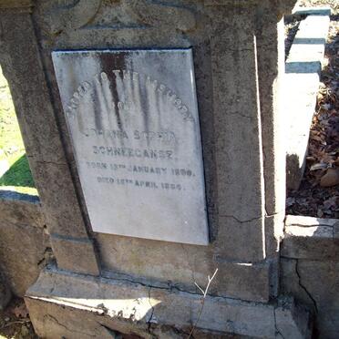 SCHNEEGANSZ Johanna Sophia 1800-1884