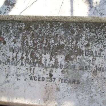 TINDALL Henry Edward -1902