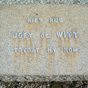 WITT Joey, de