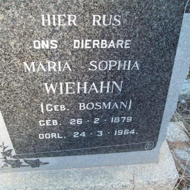 WIEHAHN Maria Sophia nee BOSMAN 1879-1964