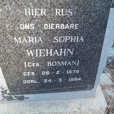 WIEHAHN Maria Sophia nee BOSMAN 1879-1964