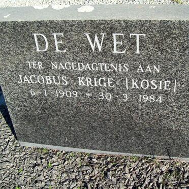 WET Jacobus Krige, de 1909-1984