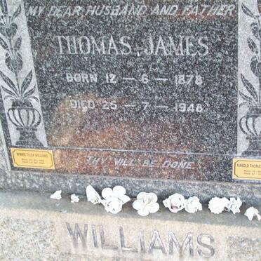 WILLIAMS Thomas James 1878-1948 :: WILLIAMS Harold Thomas 1925-1996 :: THOMAS Winnie Tilda 1905-1993_1