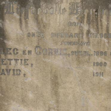 ? Alec -1896 :: ? Cornie -1896 :: ? Hettie -1900 :: ? David -1911