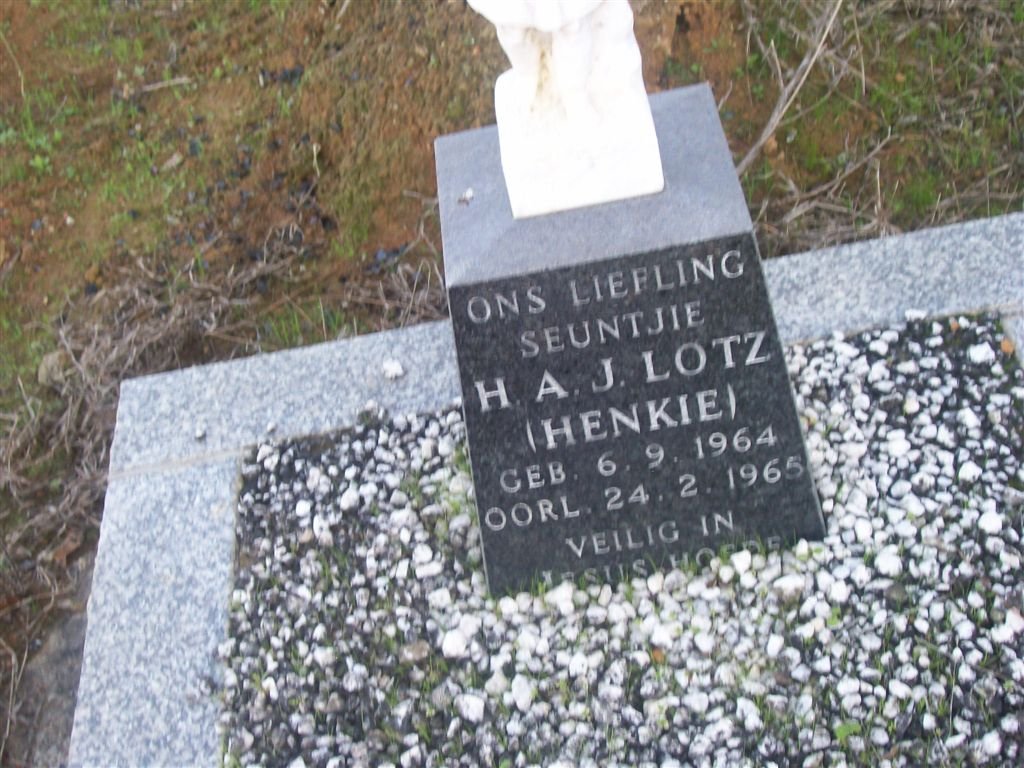 LOTZ H.A. 1964-1965