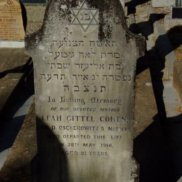 COHEN Leah Gittel -1914