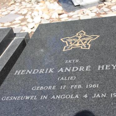 HEYNS Hendrik Andre 1961-1984