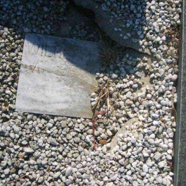 ? Willem 1958-
