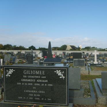 GILIOMEE Gerhardus Adriaan 1903-1986 &amp; Catharina Desa BUHR 1903-2001