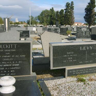 LEVY David 1934-1973 :: LEVY Drienie 1934-1973 :: LEVY Ian 1960-1973 :: LEVY David 1972-1973