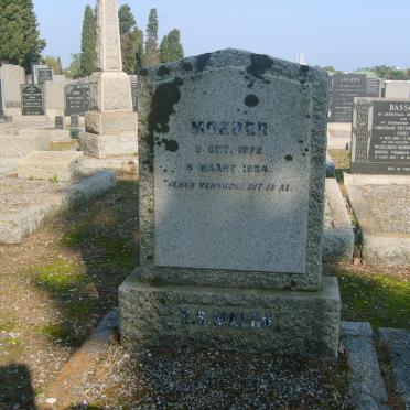 MALAN E.S 1872-1964