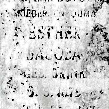 AARDE Hester Jacoba, van nee BRINK 1879-1976