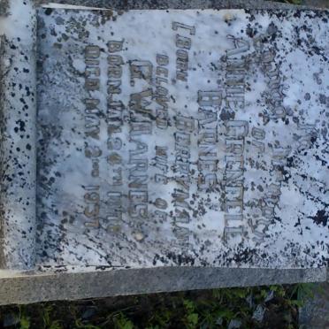BARNES Annie Grenfell born BERRYMAN 1878-1937