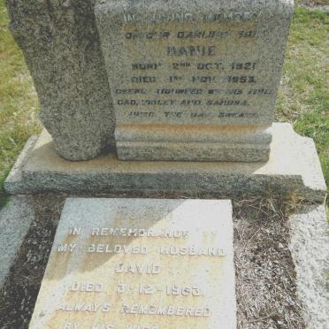 BLOM David -1963 :: BLOM Danie 1921-1953