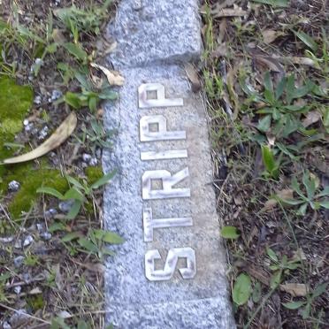 STRIPP
