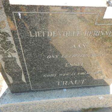 TRAUT Essel