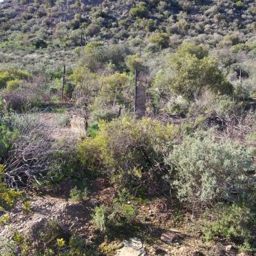 Western Cape, SWELLENDAM district, Barrydale, Lemoenshoek 25_2, farm cemetery