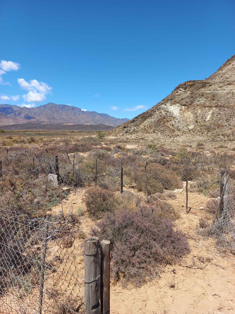 2. Overview / Oorsig