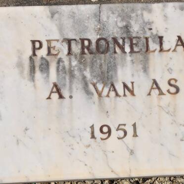 AS Petronella A., van 1951-1951