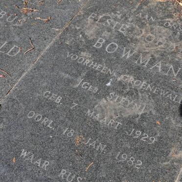 GROENEWALD :: BOWMAN