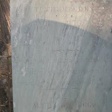 HIGGO John -18?0 &amp; Mary Ann