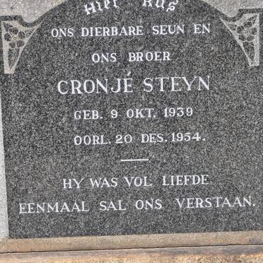 STEYN Cronje 1939-1954
