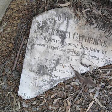 STEYN L. Catherine 1878-