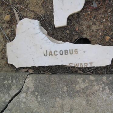 SWART Jacobus Nicolaas 1866-1920